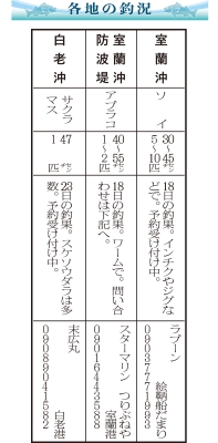 写真：