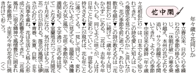 写真：