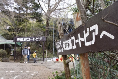 写真：茨城県石岡市の「東筑波ユートピア」＝３月
