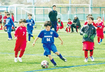 写真：