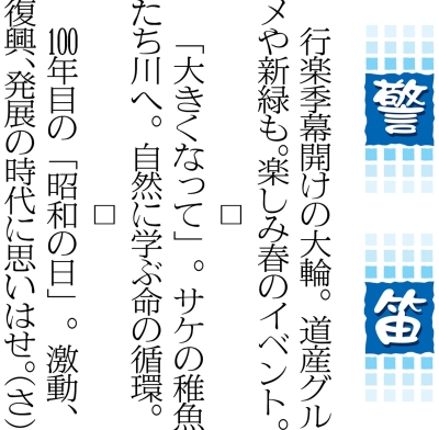 写真：