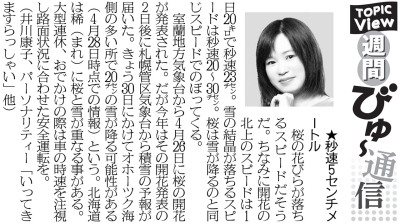 写真：