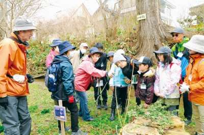 写真：アヤメ川沿いの草木に興味を示す参加者たち