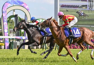 写真：第１７１回天皇賞・春で優勝したヘデントール。頭差の２着はビザンチンドリーム（１４）＝京都競馬場