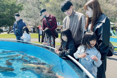 写真：少子化の加速が止まらない室蘭市。市では子育て世帯の経済的負担を減らすさまざまな取り組みを進めている