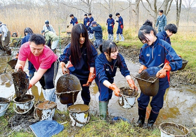 写真：池から泥を取り出す登別青嶺高の生徒たち