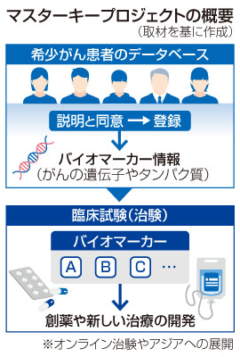 写真：