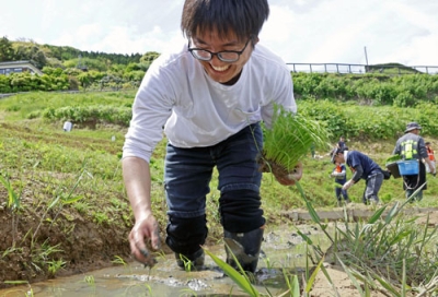 写真：石川県輪島市の「白米千枚田」で田植えをするボランティア＝１０日午前