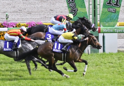 写真：第３０回ＮＨＫマイルカップを制した松山弘平騎乗のパンジャタワー（手前）＝東京競馬場