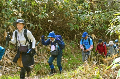 写真：軽快な足取りで登山を楽しむ参加者たち