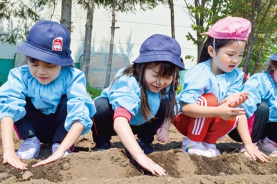 写真：イモ植えをする園児たち