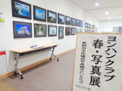 写真：今年はどんな春を連れて来てくれるのでしょうか？（写真は昨年の展示より）