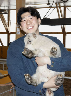 写真：「牛屋」で育てる子羊を抱く吉田隼さん＝４月、福島県葛尾村