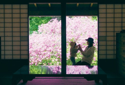 写真：屏風絵のような有珠善光寺のヨドガワツツジ