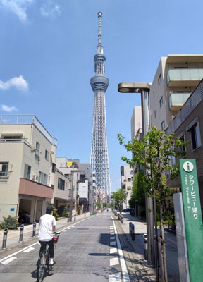写真：タワービュー通りから見る東京スカイツリー＝東京都墨田区
