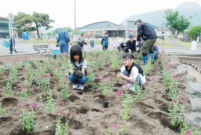 写真：町役場前の花壇を整備する参加者