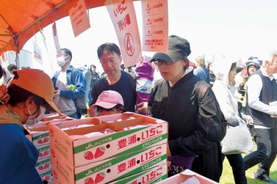 写真：特産イチゴを求めてブースに詰めかける来場者