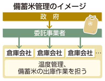 写真：