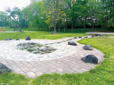 写真：今年も開放された中島公園の水遊び場