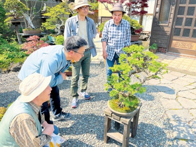 写真：盆栽の手入れ法などを学ぶ会員ら（提供写真）
