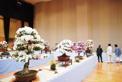 写真：来場者の目を楽しませた盆栽会