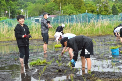 写真：田植え作業をする子どもたち