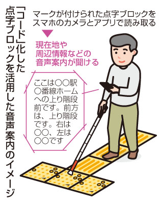 写真：