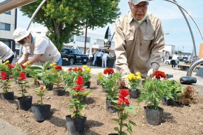 写真：幌別駅前の花壇に丁寧に花を植える参加者たち