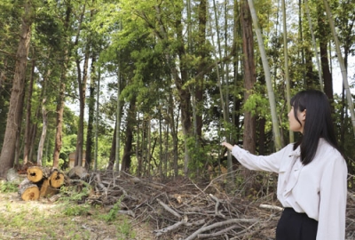 写真：茨城県つくば市の森林バンク制度に登録した森林を紹介する市職員＝５月