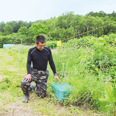 写真：電気柵の電源装置が置いてあった場所を示す山本さん＝１１日午後、伊達市大平町