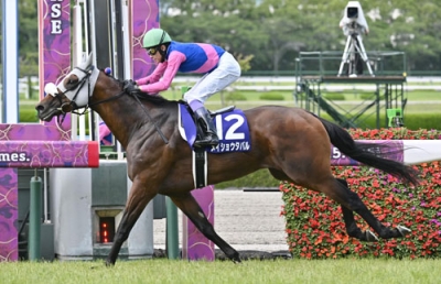 写真：第６６回宝塚記念を制したメイショウタバル＝阪神競馬場