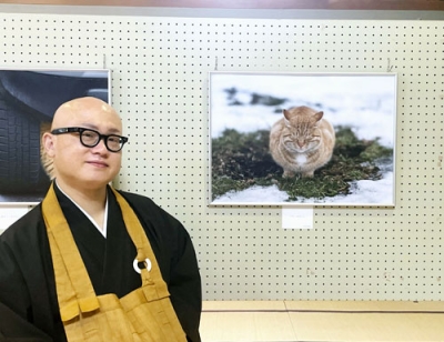 写真：函館市の高龍寺で開催中の写真展「ねことひとと・ときどき・ほとけ。」