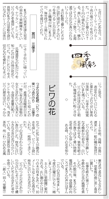 写真：