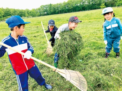 写真：牧草集めをする子どもたち（提供写真）