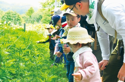 写真：草木に隠れている昆虫など生き物を探す親子ら