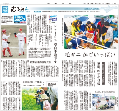 写真：
