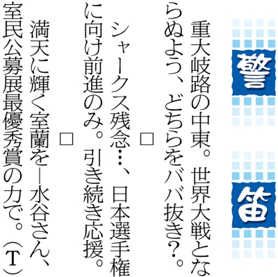 写真：