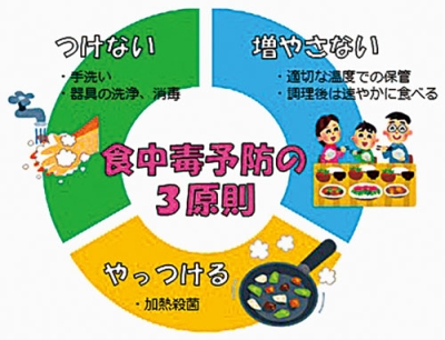写真：