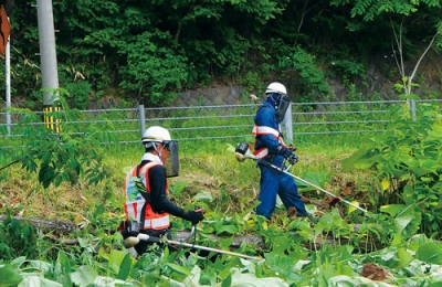 写真：イベントの成功を願い草刈り作業を行う社員