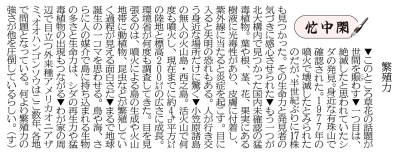 写真：
