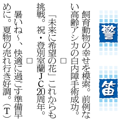 写真：