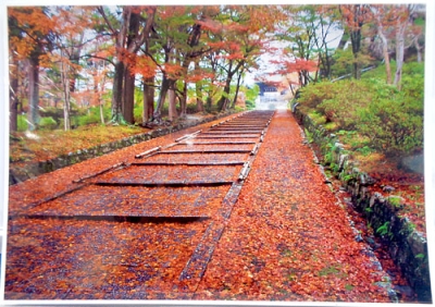 写真：一足早く、京都の秋の風情をお楽しみください