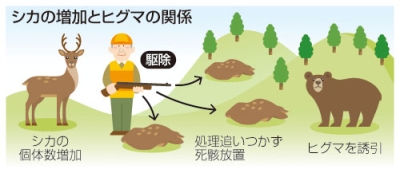 写真：