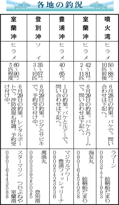 写真：