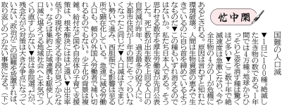 写真：