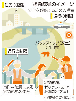 写真：