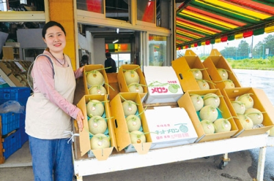 写真：「おいしいメロンができてます」と笑顔でＰＲする原農園の原菜美さん