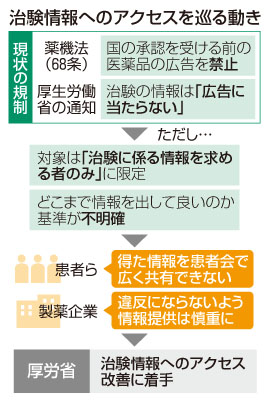 写真：