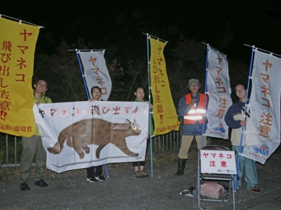 写真：イリオモテヤマネコの保護に取り組むＮＰＯ法人の職員らがドライバーに注意を呼びかける「やまねこパトロール」＝２０２４年１２月、沖縄県・西表島