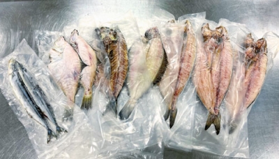 写真：真空パックされた５千円の干し魚セット